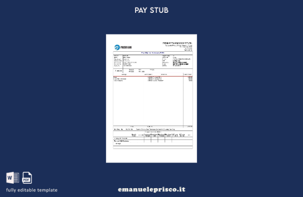 modello di busta paga Premium Transmission in stile verificato